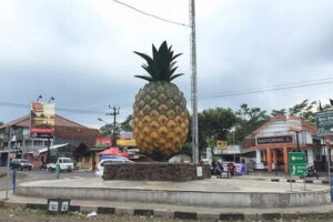 Inilah Jadwal Pemutihan Pajak Kendaraan di Kabupaten Subang